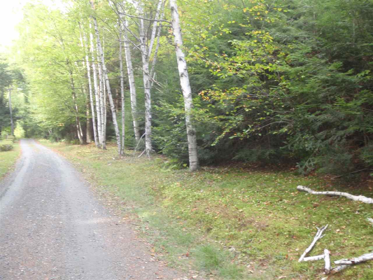 115 Lewin Road Grafton, NH 03240 - Photo 4 of 8