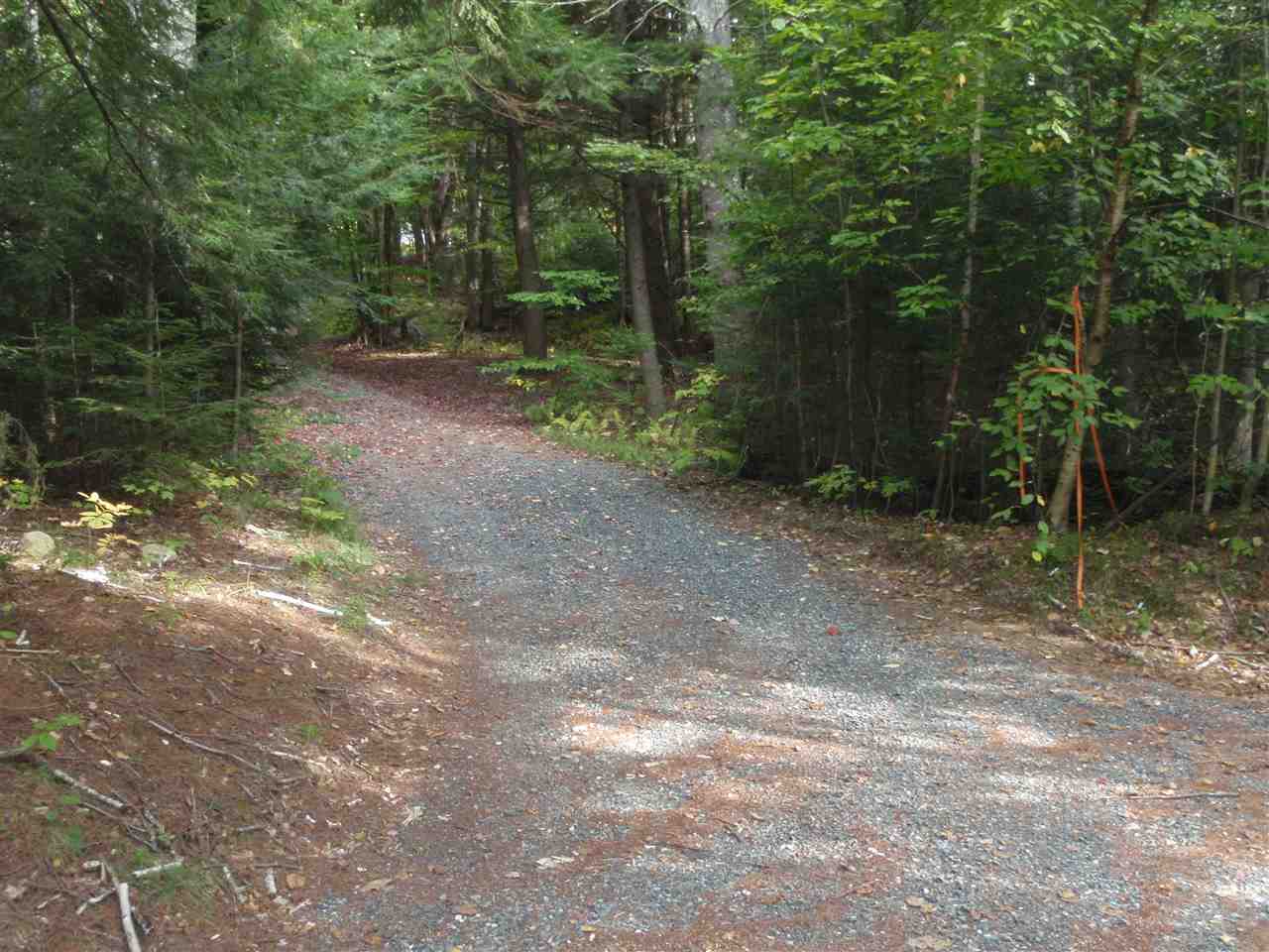 115 Lewin Road Grafton, NH 03240 - Photo 5 of 8