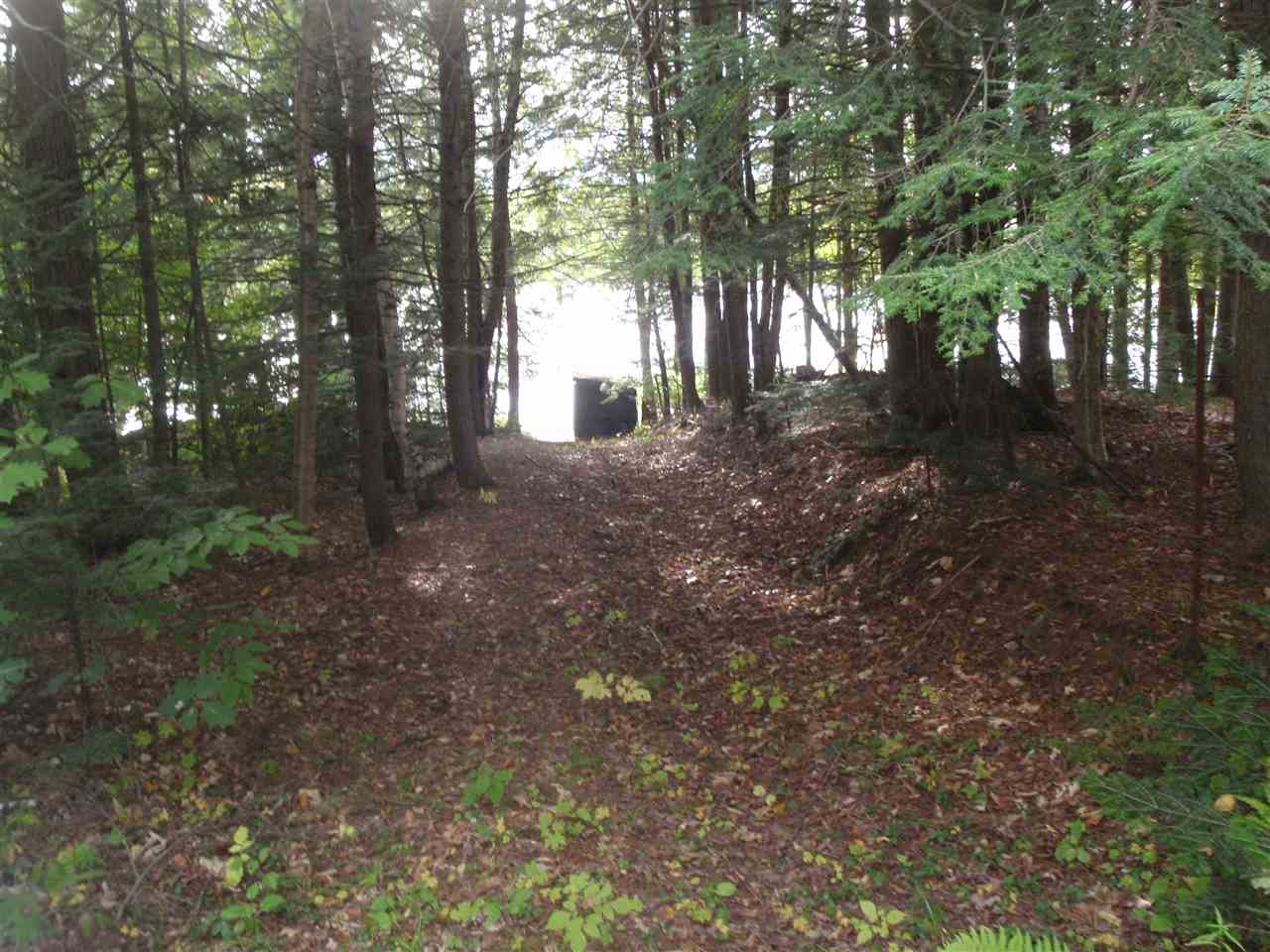 115 Lewin Road Grafton, NH 03240 - Photo 6 of 8