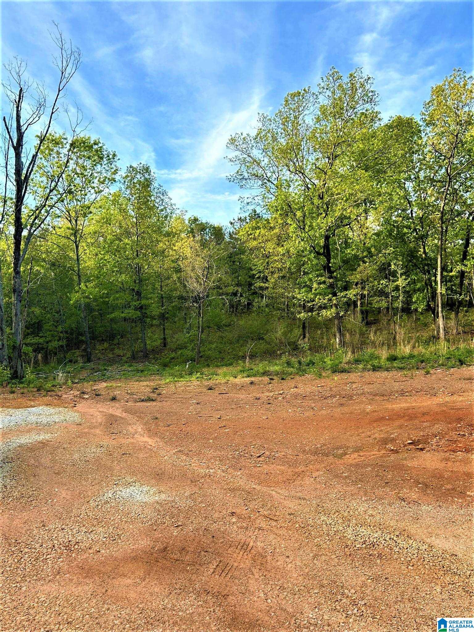 3741 County Road 47, Unit TRACT 1 Heflin, AL 36264 - Photo 5 of 10