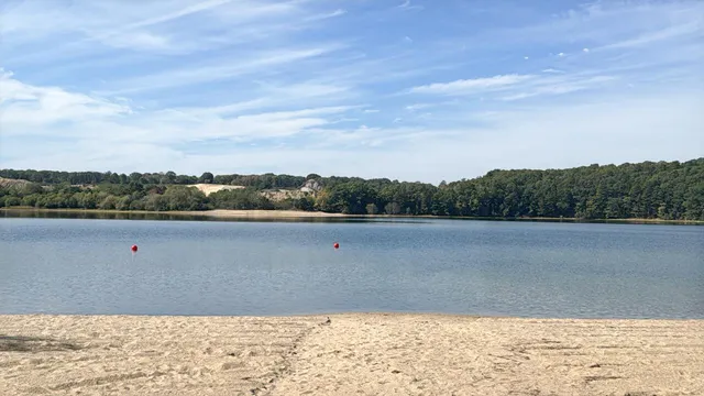 a view of a house with a yard and potted plants