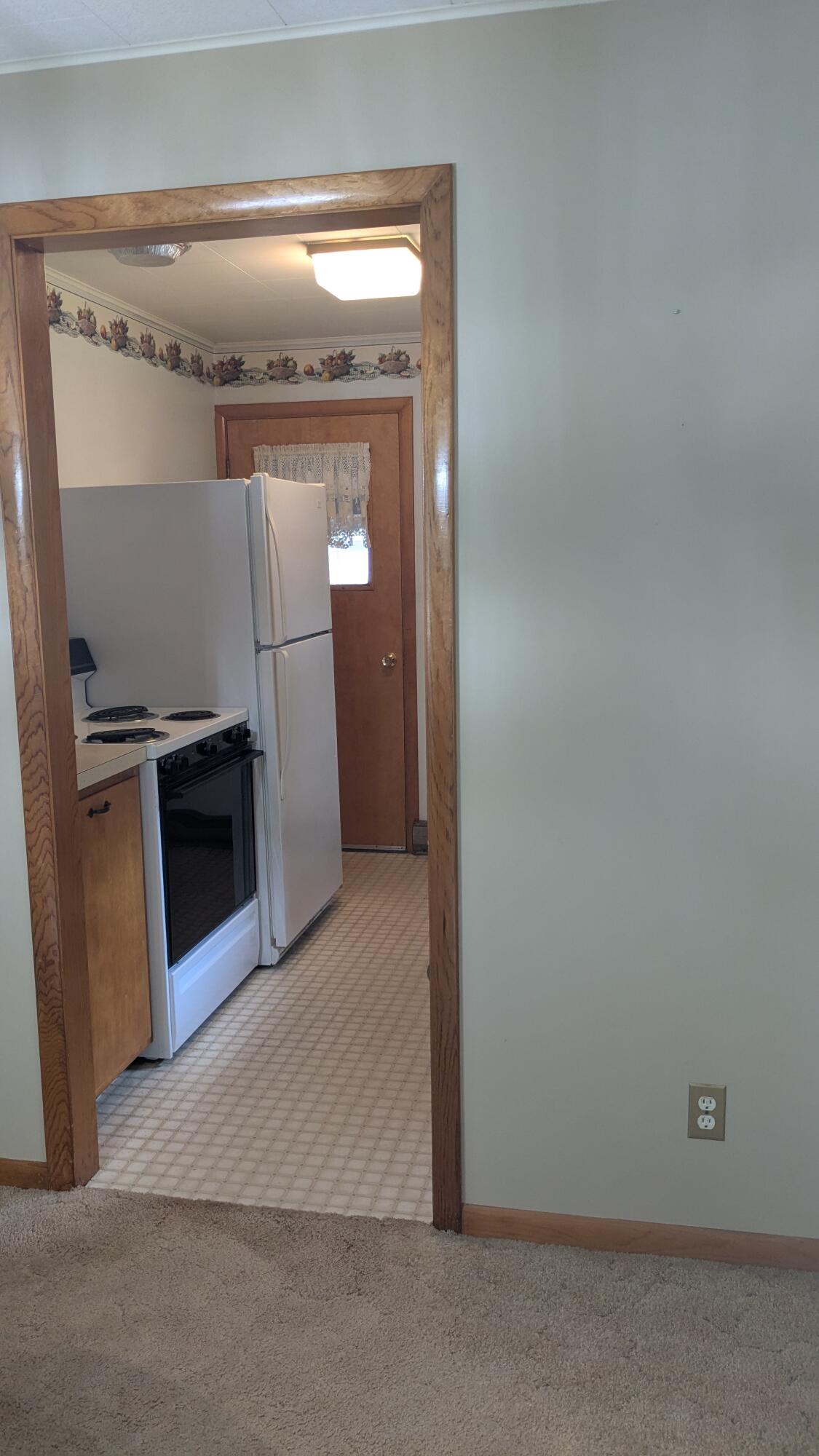 12220 Maple Street Bear Lake, MI 49614 - Photo 12 of 56 Bright Kitchen