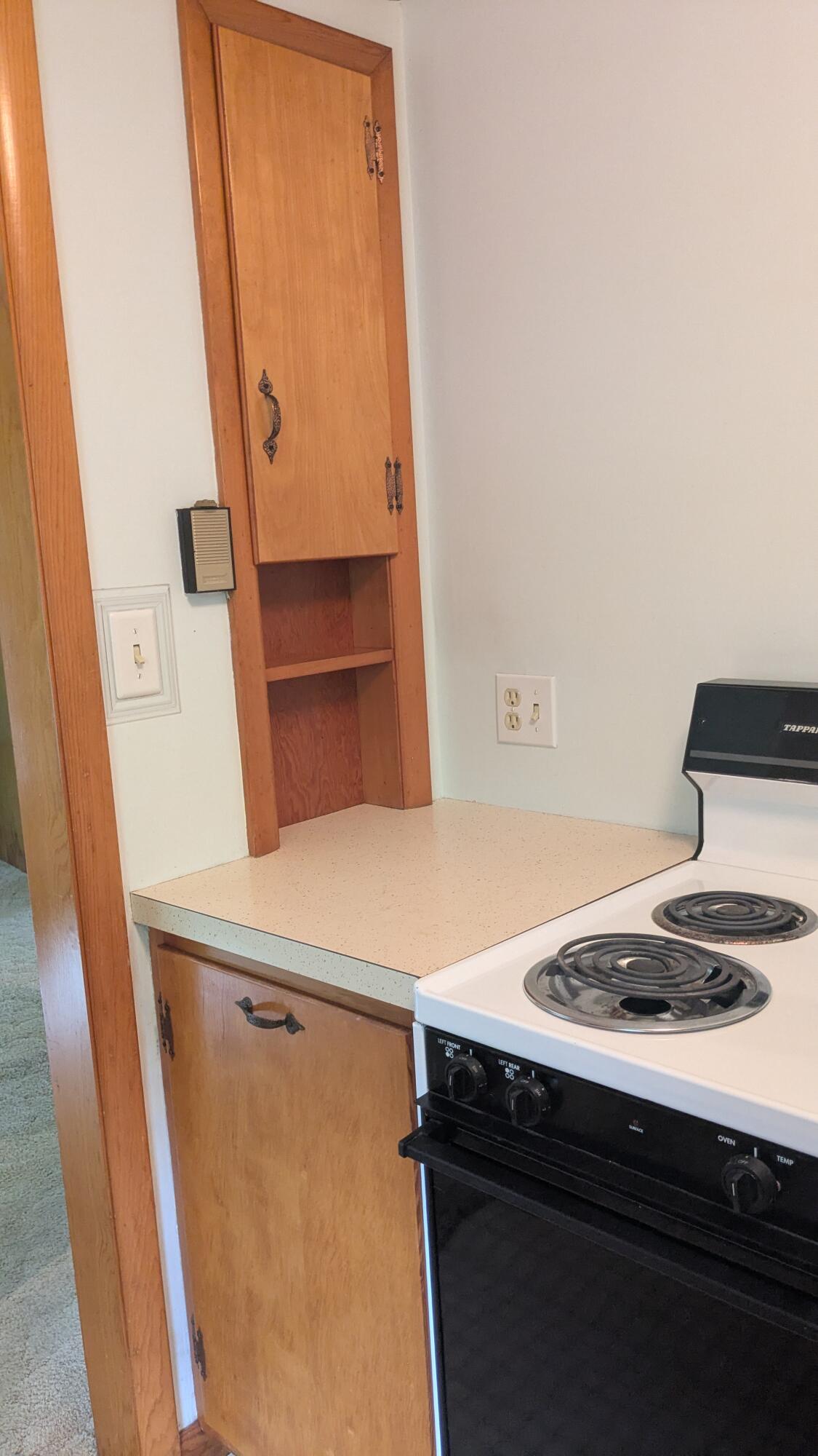 12220 Maple Street Bear Lake, MI 49614 - Photo 13 of 56 Kitchen Storage