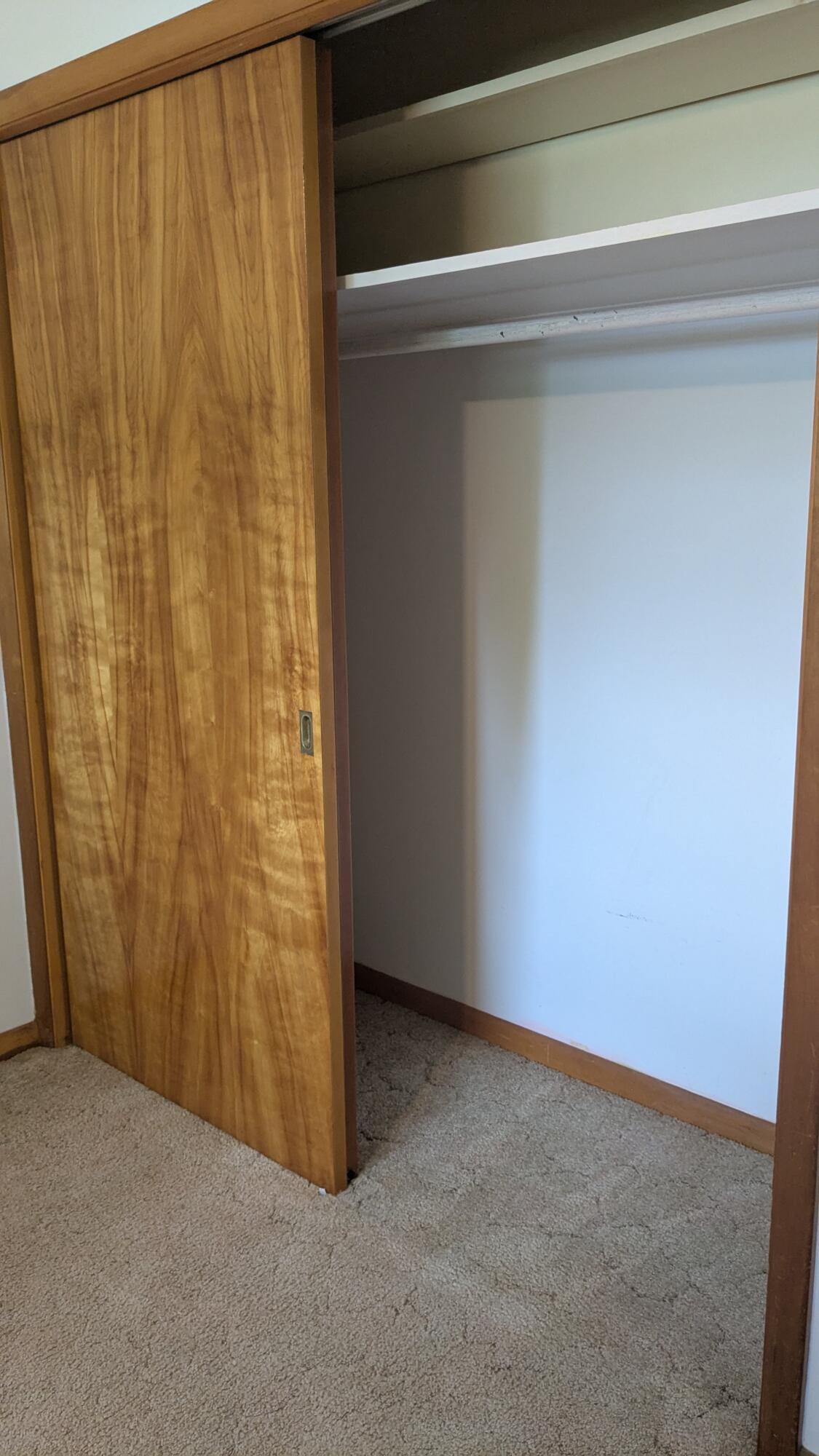 12220 Maple Street Bear Lake, MI 49614 - Photo 25 of 56 2nd Bedroom Closet