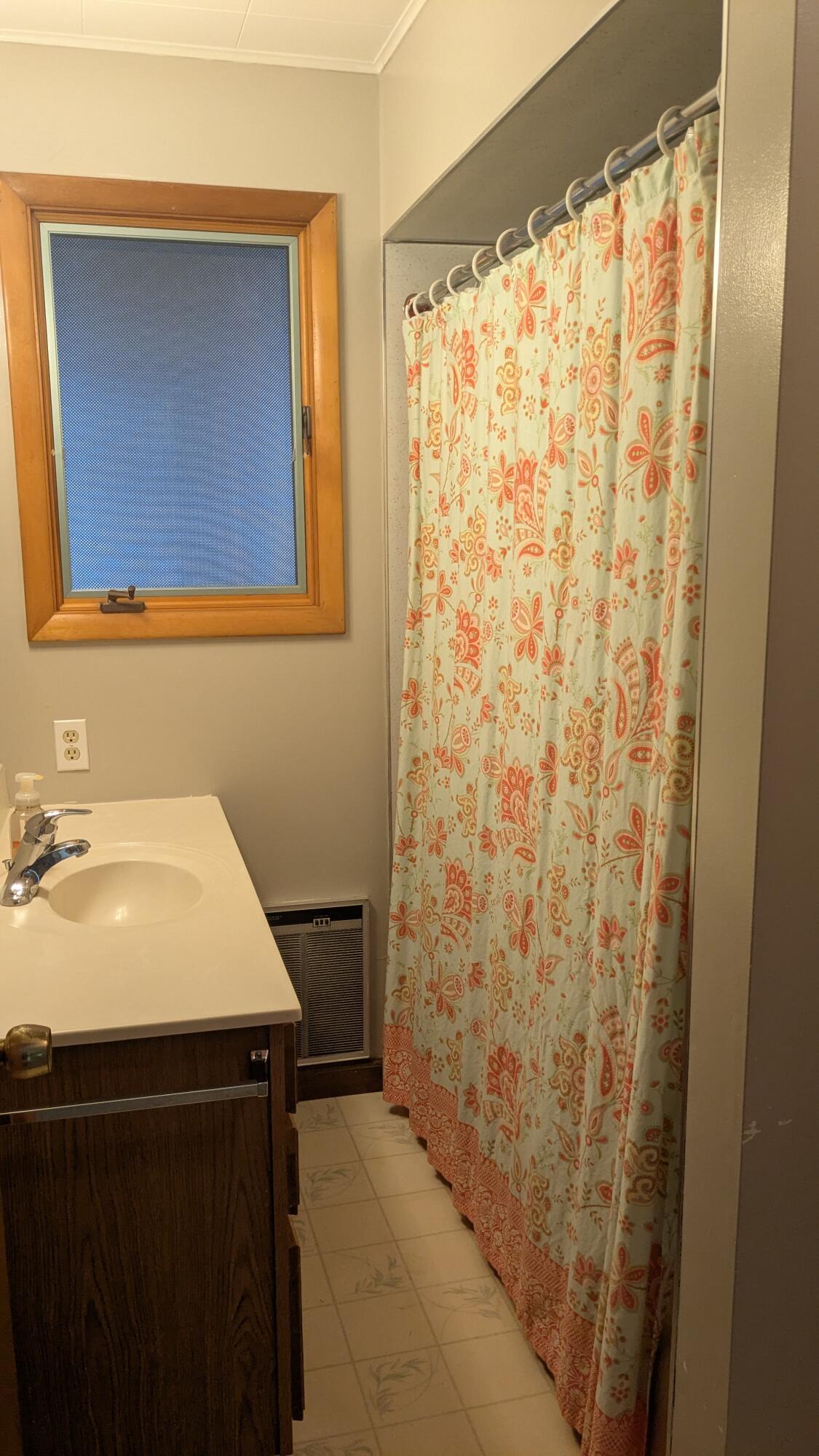 12220 Maple Street Bear Lake, MI 49614 - Photo 26 of 56 Combo Tub/Shower