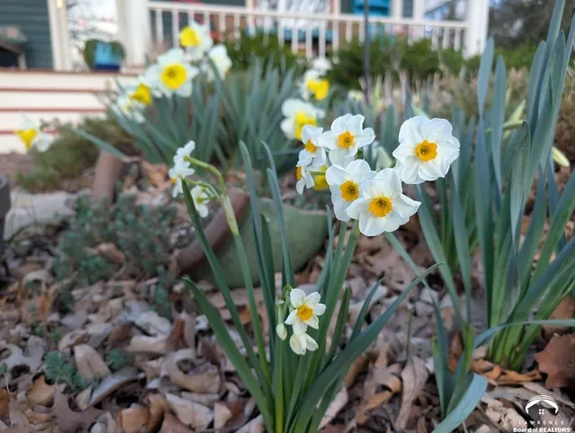 $394,900 | 1240 Rhode Island Street, Lawrence, KS 66044