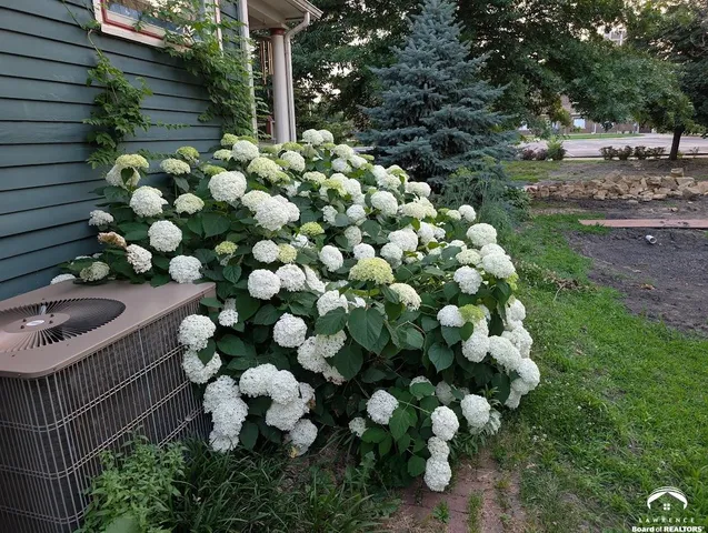 $394,900 | 1240 Rhode Island Street, Lawrence, KS 66044