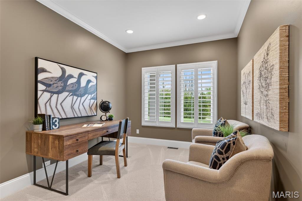 10349 Bauer Road St. Louis, MO 63128 - Photo 28 of 76 Gallery Image 28