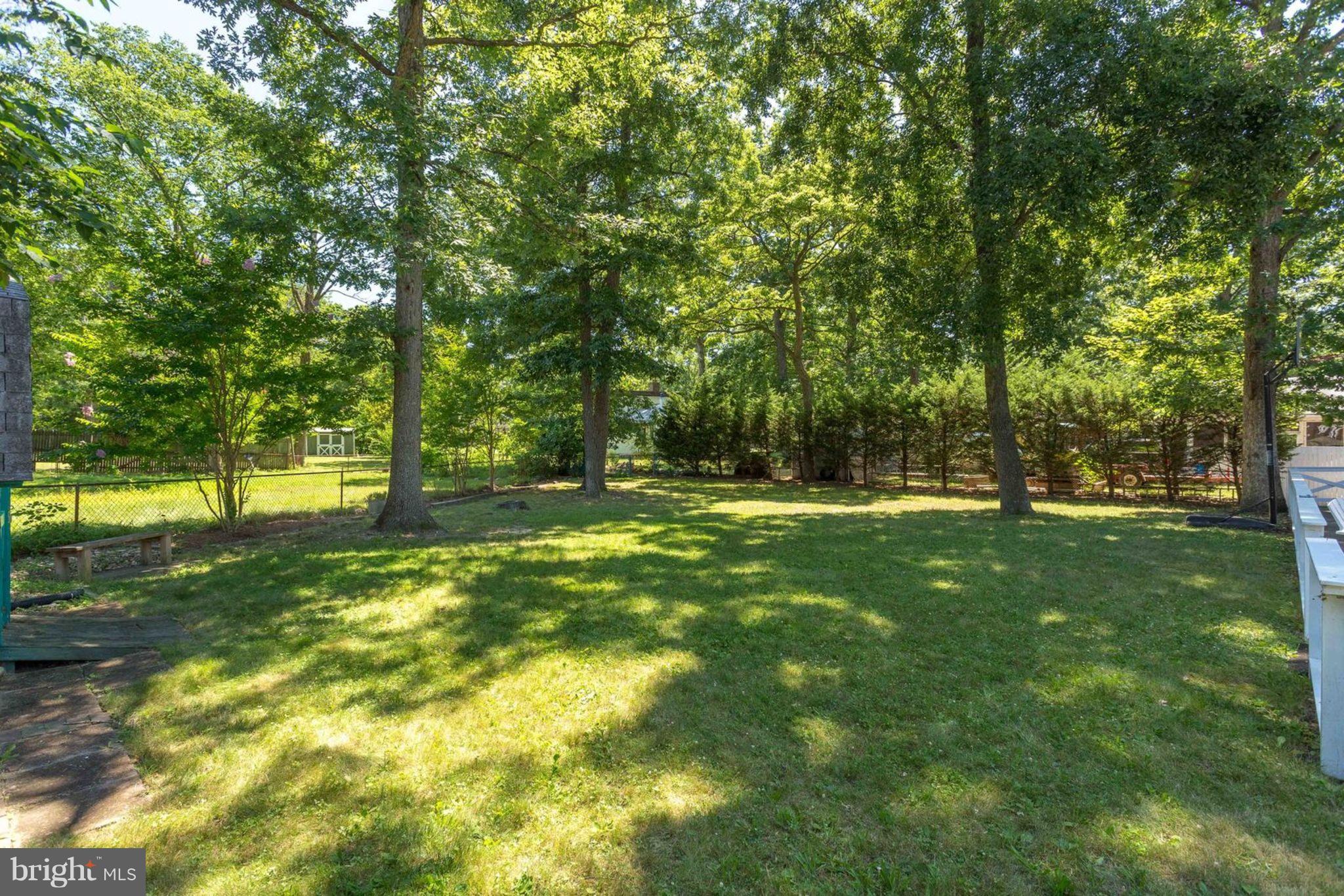 6405 Franconia Road Springfield, VA 22150 - Photo 26 of 26 Tons of room for entertainment and play