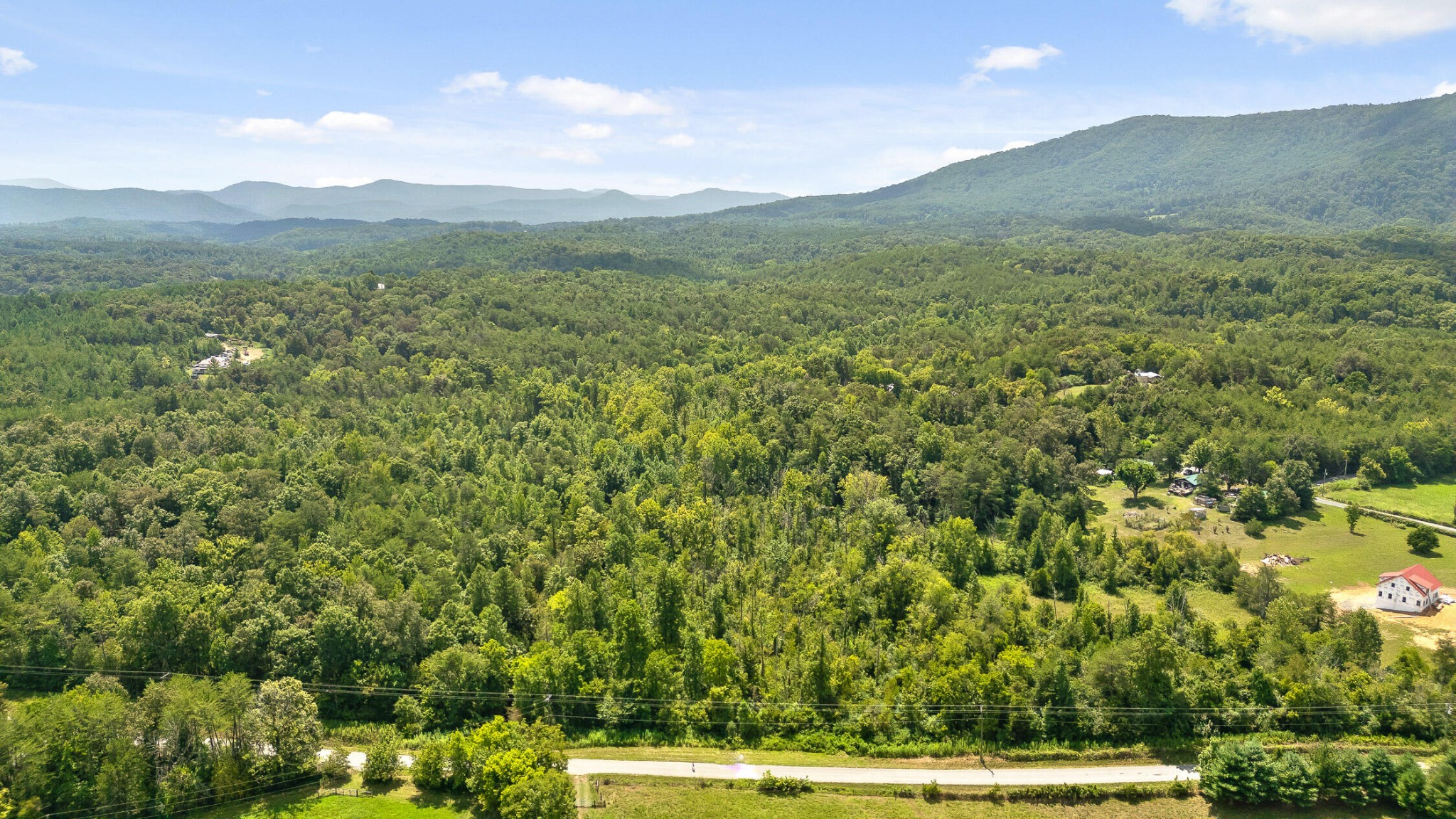 a view of a lush green hillside and a houses