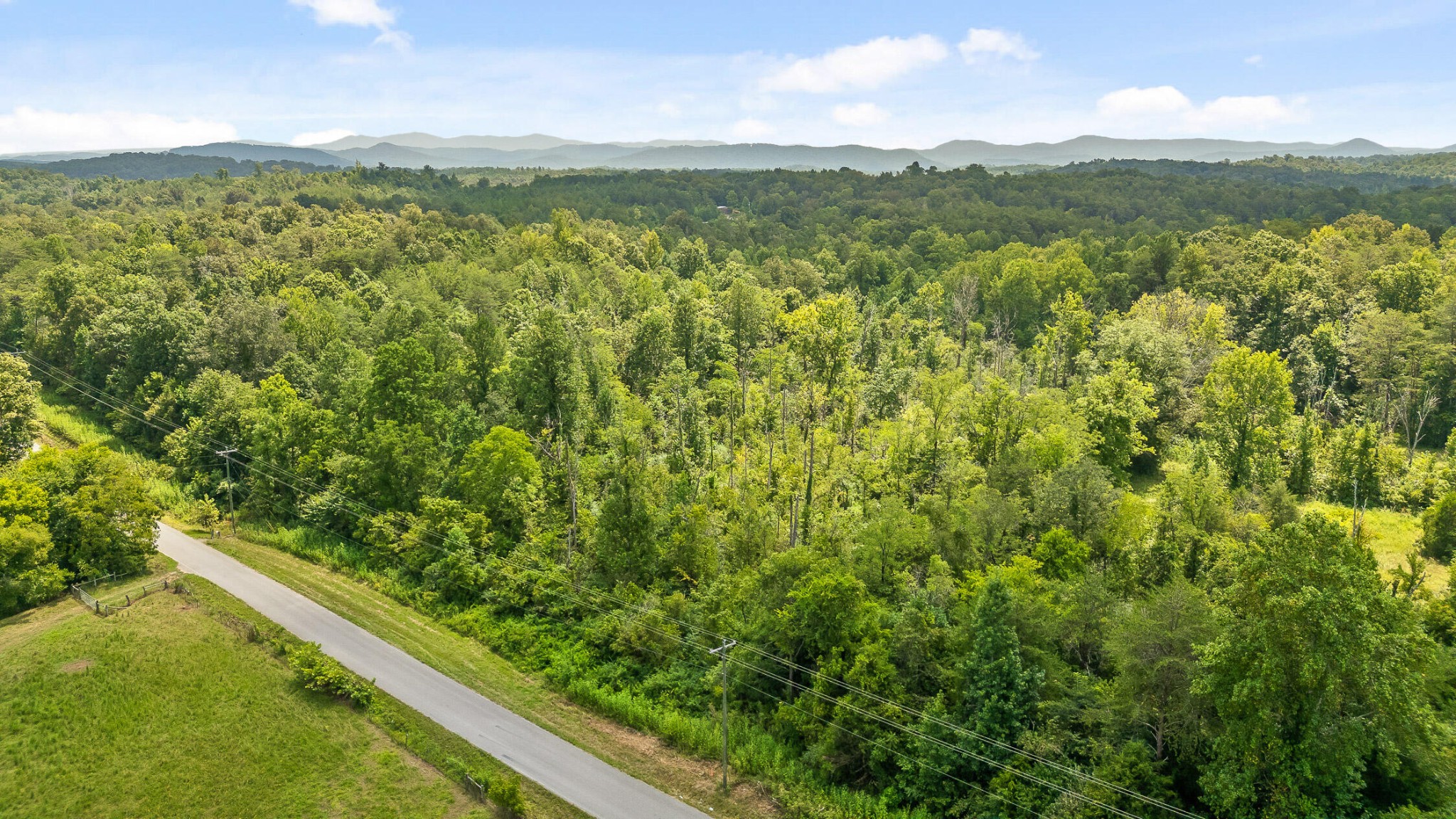 2 Lick Creek Road Tellico Plains, TN 37385 - Photo 5 of 5 a view of a lush green forest with a lake