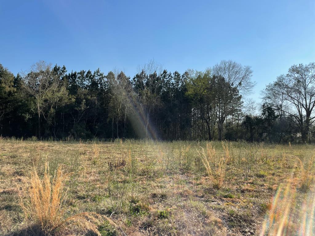 -lot D Prevatt Road Ashford, AL 36312 - Photo 1 of 1