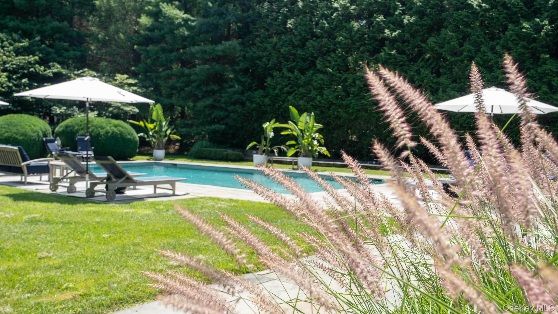 329 Georgica Road East Hampton, NY 11937 - Photo 9 of 47 Gallery Image 9