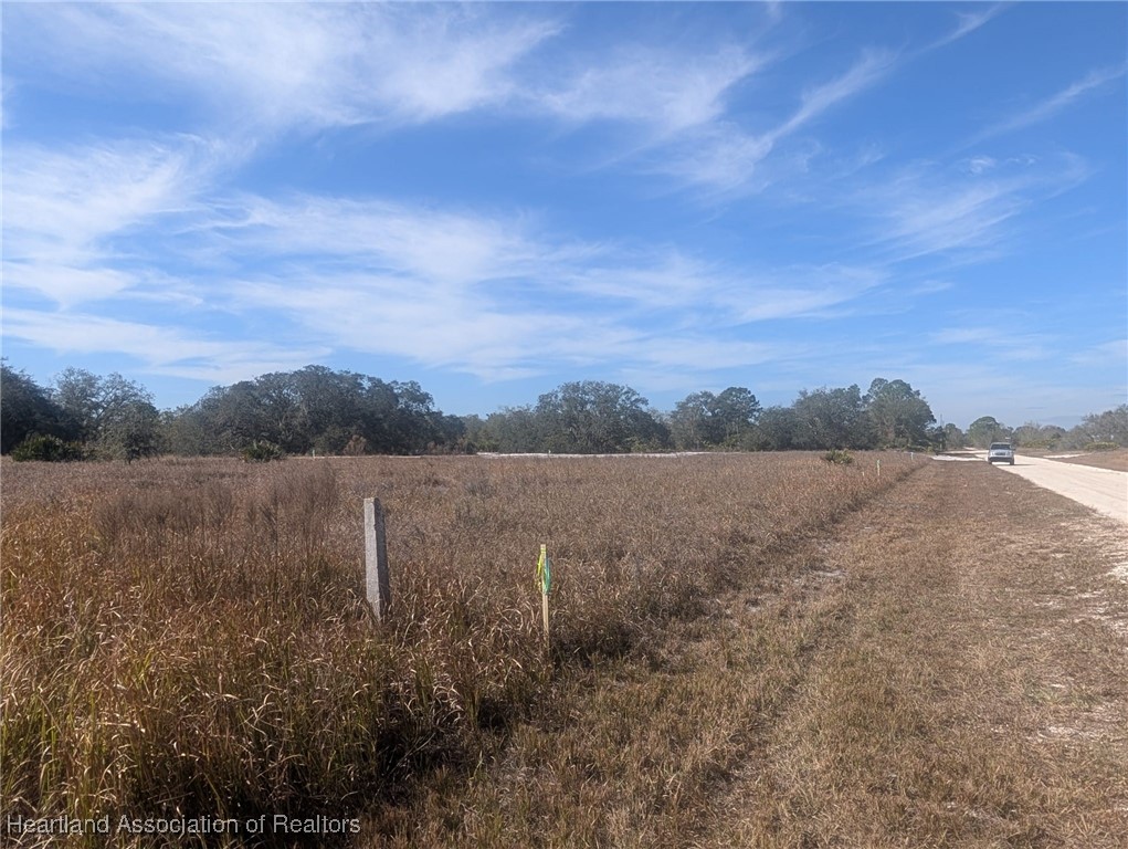 West Bandra Road Avon Park, FL 33825 - Photo 8 of 8 Gallery Image 8