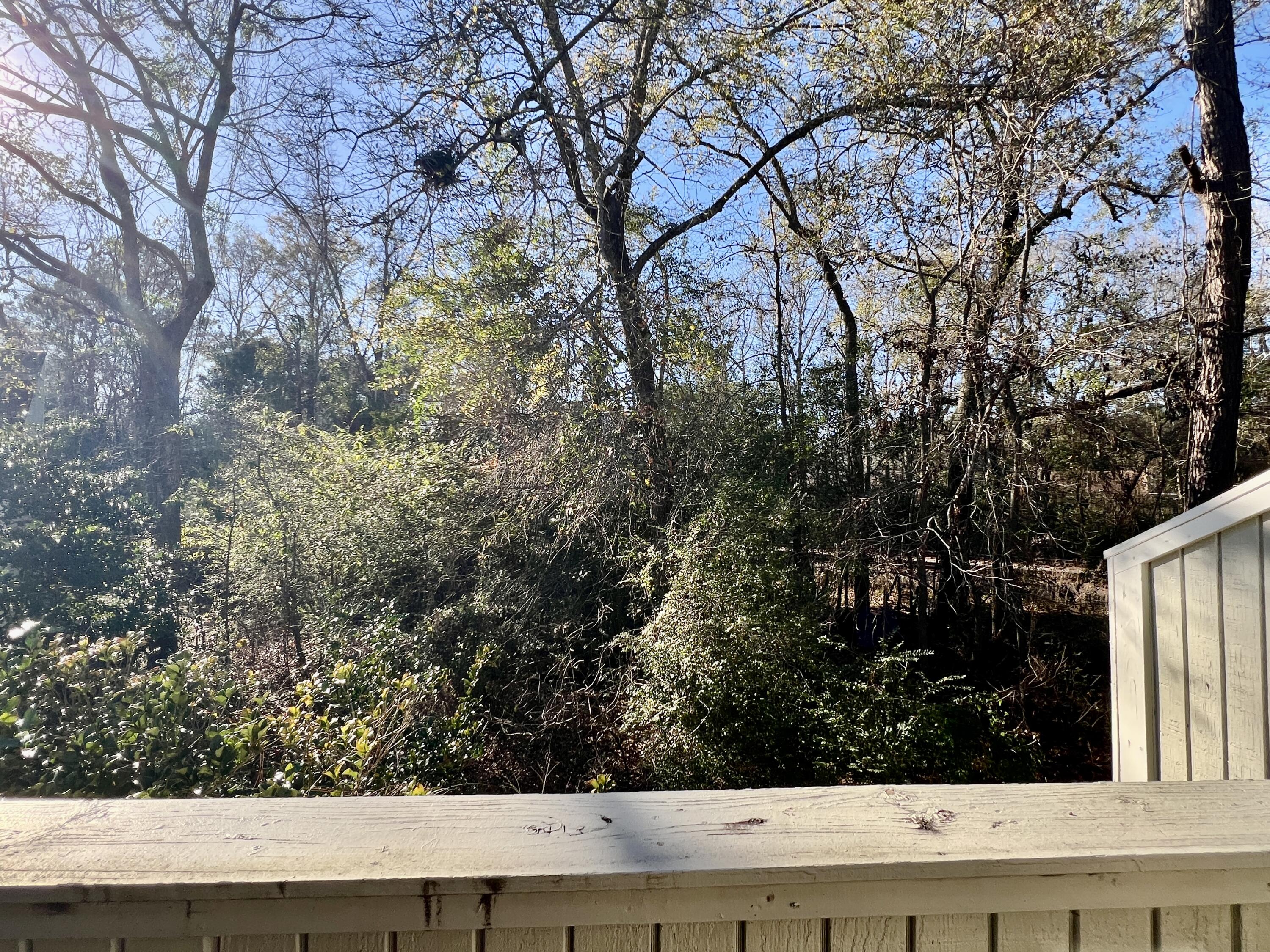 2765 Jobee Drive, Unit 1305 Charleston, SC 29414 - Photo 21 of 27 IMG_3813