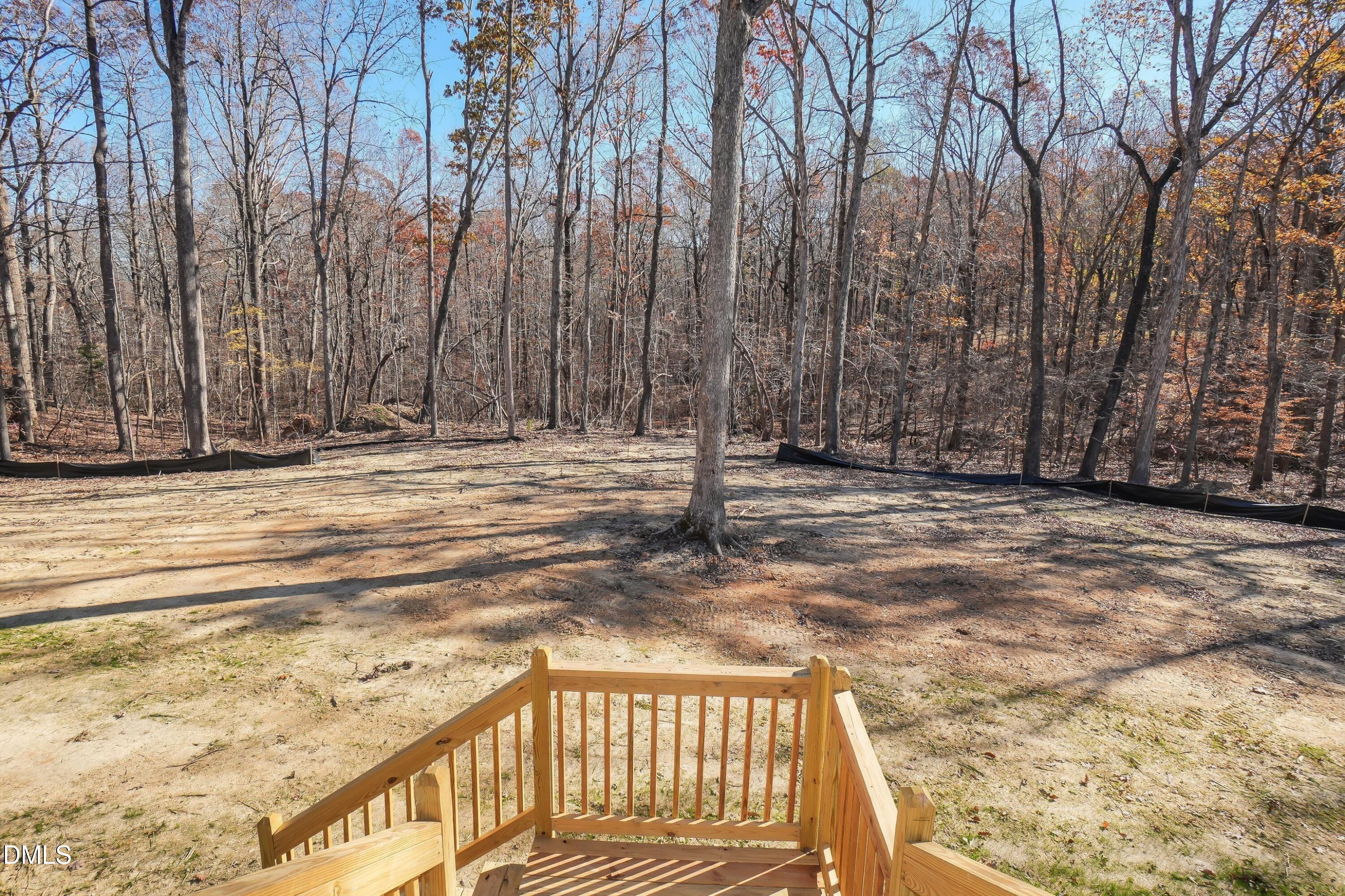 5430 Bass Mountain Road Snow Camp, NC 27349 - Photo 4 of 14 a view of a backyard
