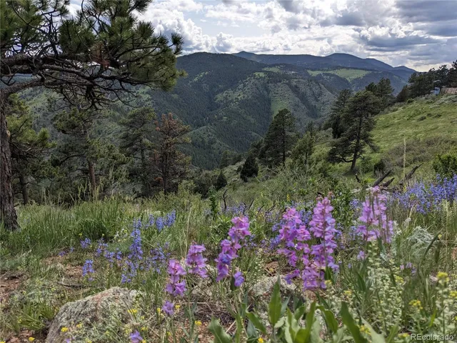 $600,000 | 25421 Westridge Road, Golden, CO 80403