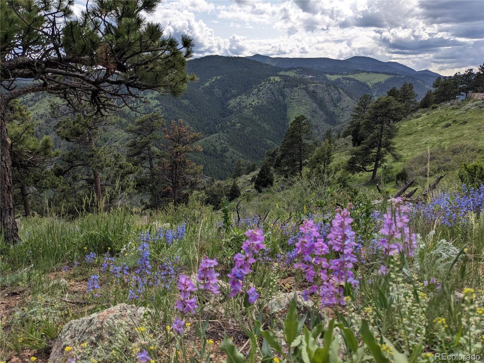 25421 Westridge Road Golden, CO 80403 - Photo 6 of 35