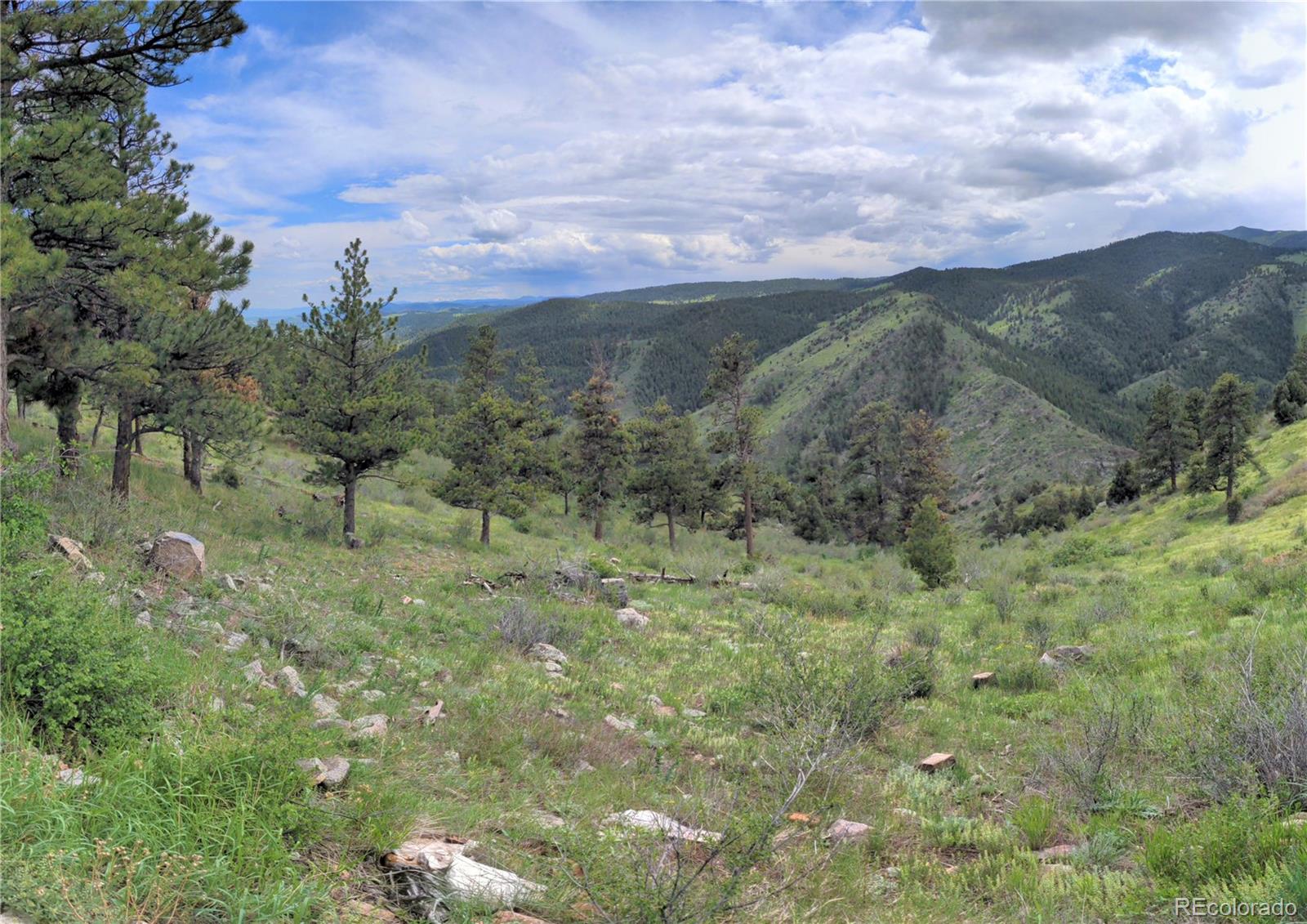 25421 Westridge Road Golden, CO 80403 - Photo 7 of 35