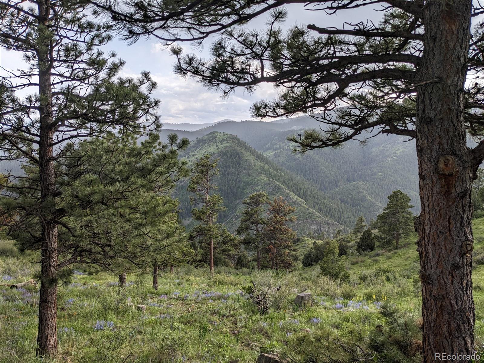 25421 Westridge Road Golden, CO 80403 - Photo 9 of 35