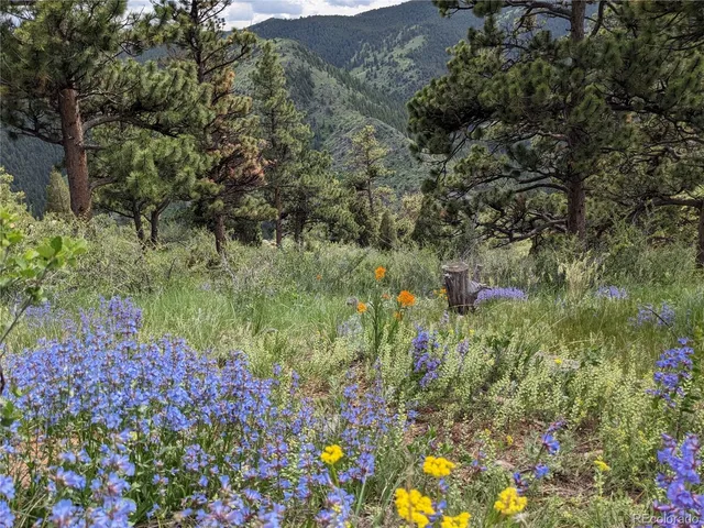 $600,000 | 25421 Westridge Road, Golden, CO 80403