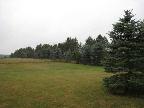 9463 Shepherd Road Onsted, MI 49265 - Photo 18 of 18 20418619-17.JPG