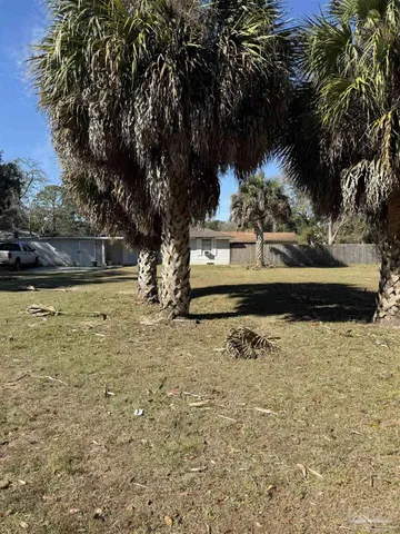 a view of yard with tree in back
