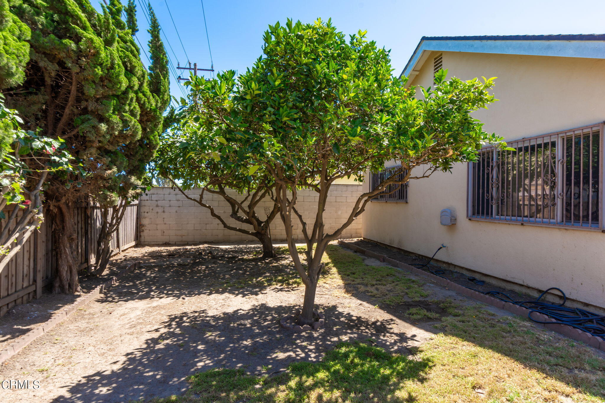 4410 Reeder Avenue Oxnard, CA 93033 - Photo 19 of 20 a view of a yard with plants and trees