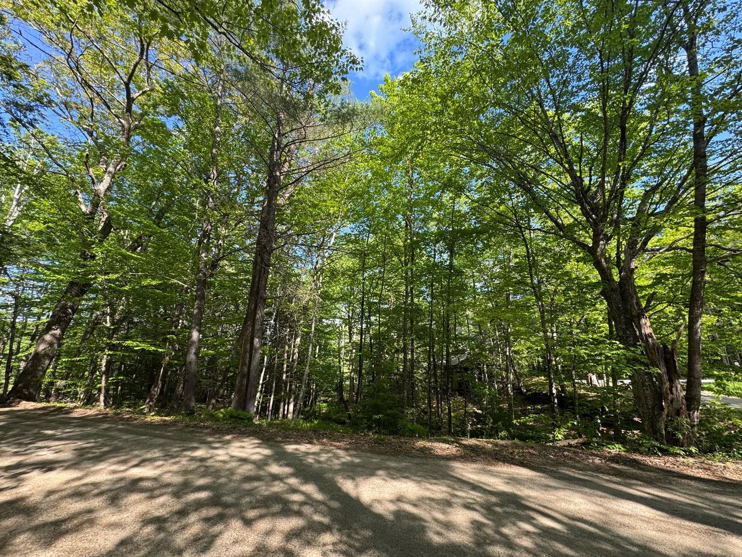 0 Peaked Hill Road Bristol, NH 03222 - Photo 16 of 33