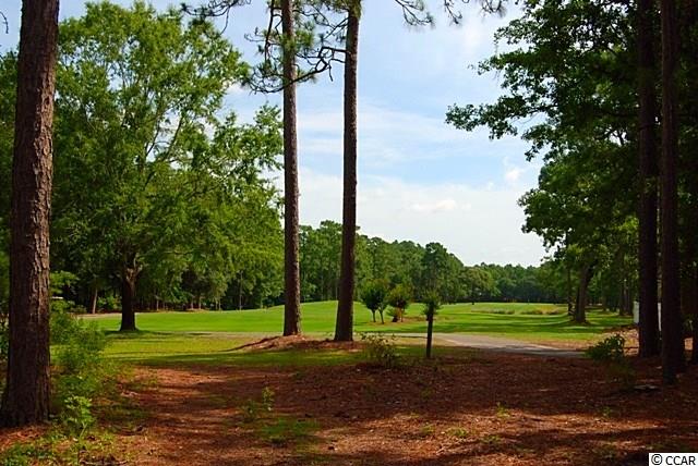 1396 Links Road Myrtle Beach, SC 29575 - Photo 3 of 19 Gallery Image 3
