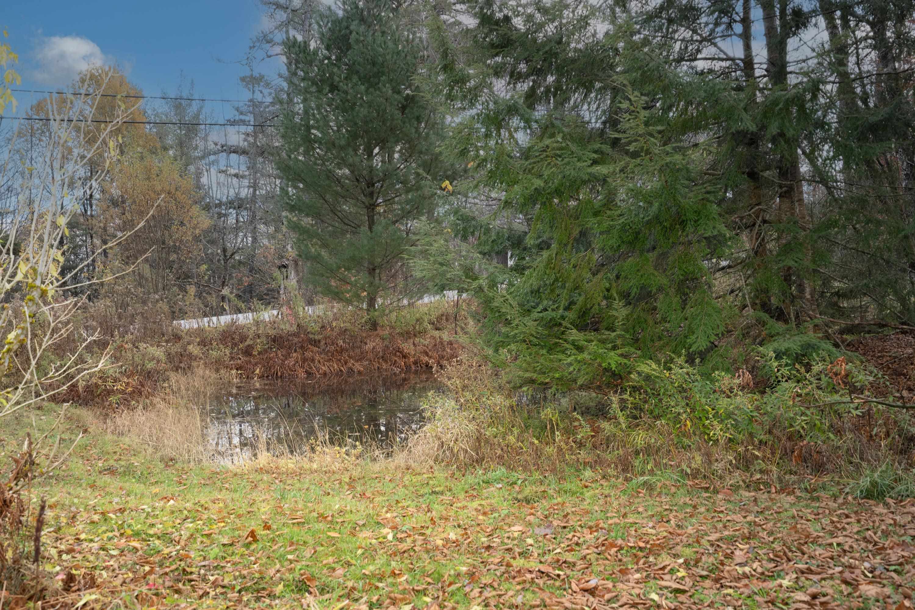 46-48 Lower Taylor Hill Road Winhall, VT 05340 - Photo 19 of 19