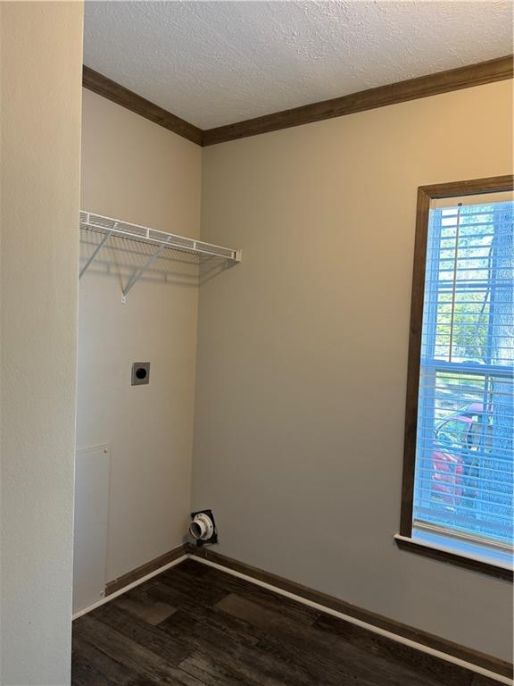 29496 Linda's Haven Road Springfield, LA 70462 - Photo 29 of 32