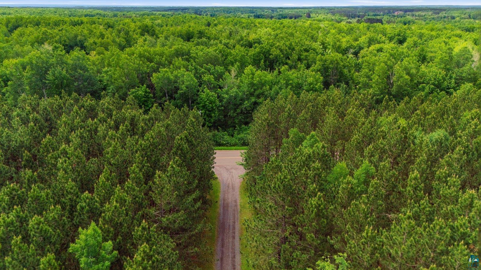 41 East Stark Road Esko, MN 55733 - Photo 19 of 19 Expansive wooded acreage featuring a variety of mature evergreen and deciduous trees, with a central unpaved road traversing the property