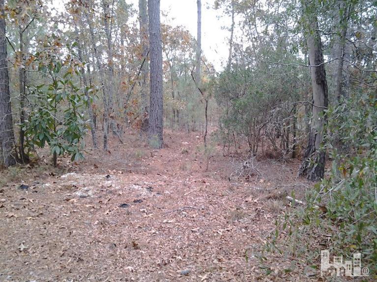 121 Oak Haven Road Atkinson, NC 28421 - Photo 26 of 30 Additional Photo