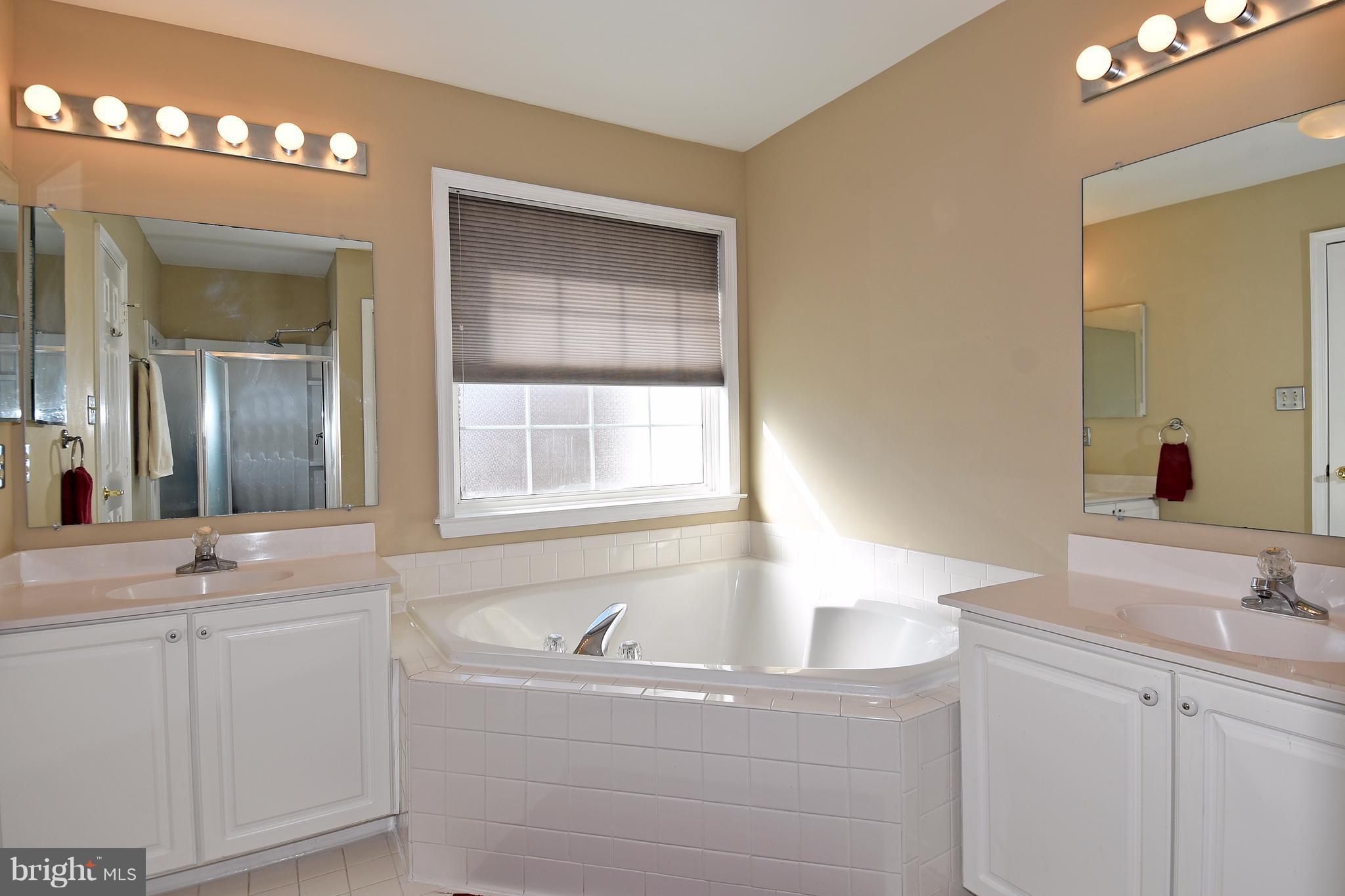 20677 Riptide Square Sterling, VA 20165 - Photo 13 of 26 Double soaking tub