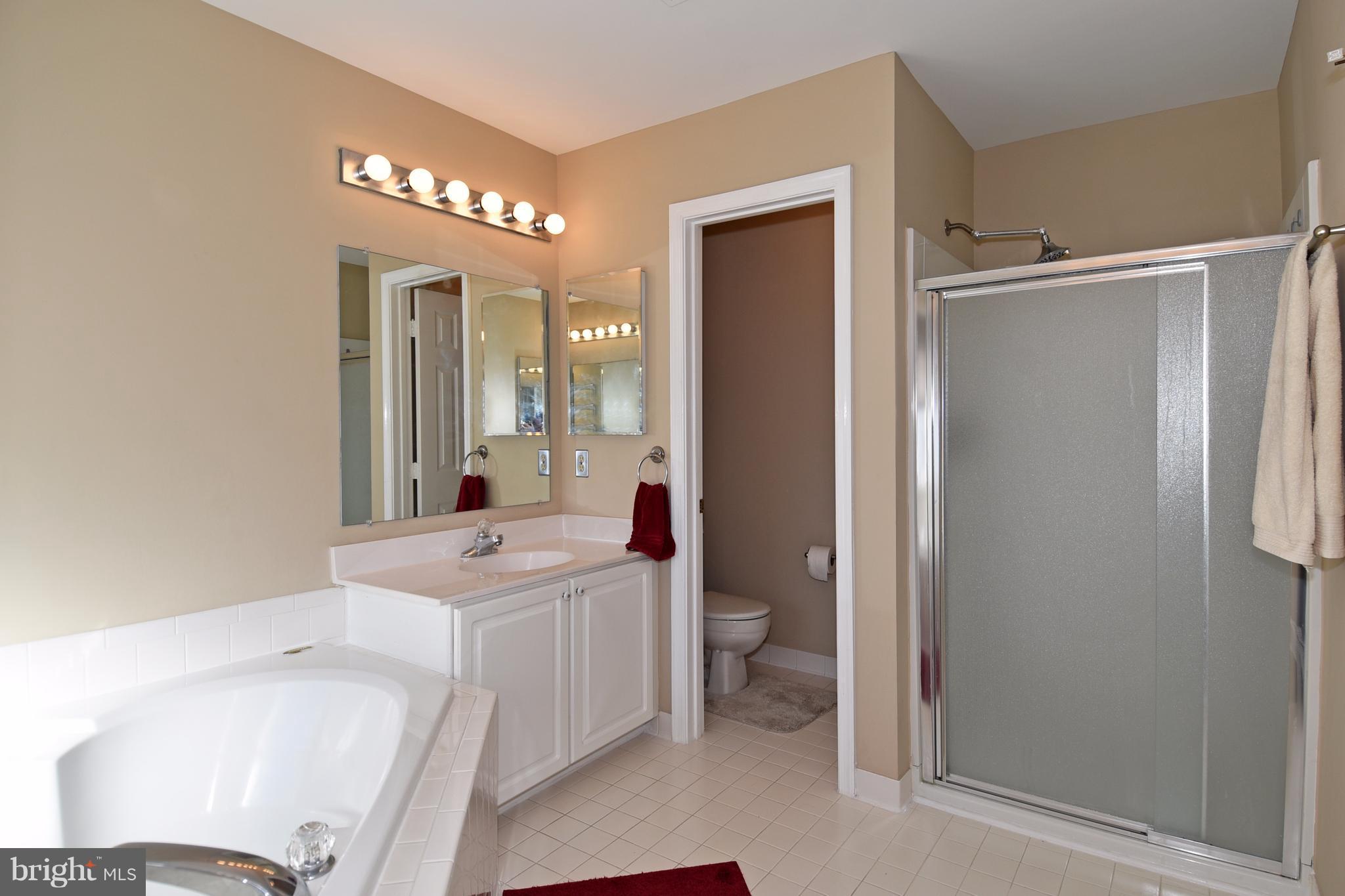 20677 Riptide Square Sterling, VA 20165 - Photo 14 of 26 Separate shower