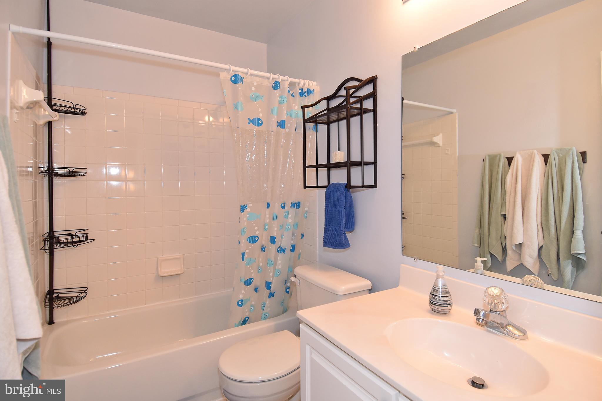 20677 Riptide Square Sterling, VA 20165 - Photo 16 of 26 Hall bath