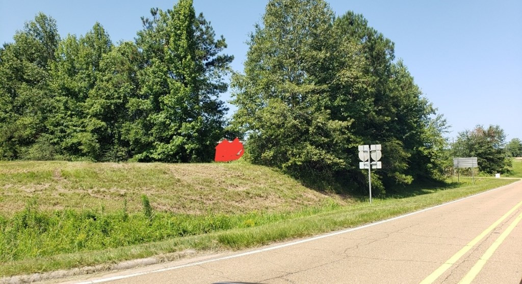 2050 West Gallman Road Hazlehurst, MS 39083 - Photo 1 of 12 Photo 3