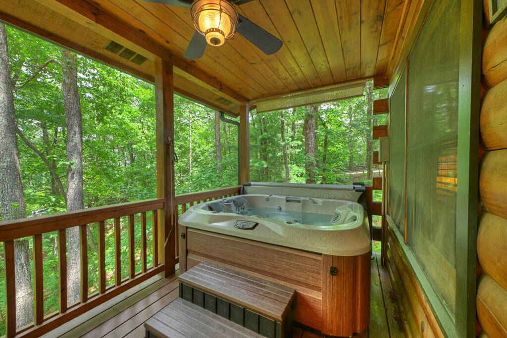 9 Casey Court Blue Ridge, GA 30513 - Photo 18 of 52 Gallery Image 18
