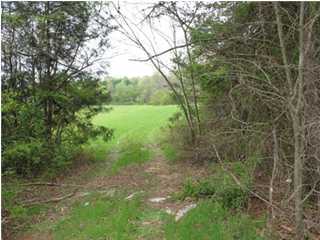 7611 Gann Road Hixson, TN 37343 - Photo 4 of 4 Additional Photo