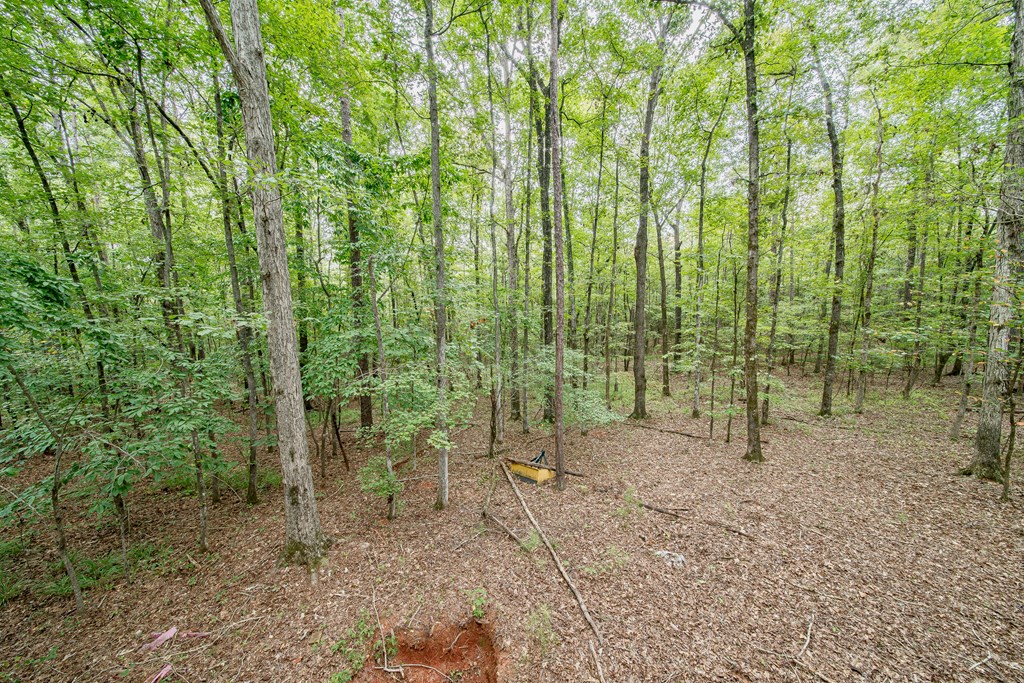 1380 Plantation Creek Road Fortson, GA 31808 - Photo 42 of 45 Acreage
