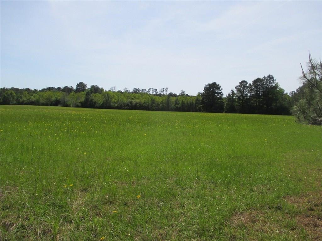 0 Sweat Road Mora, LA 71455 - Photo 1 of 4 Gallery Image 1