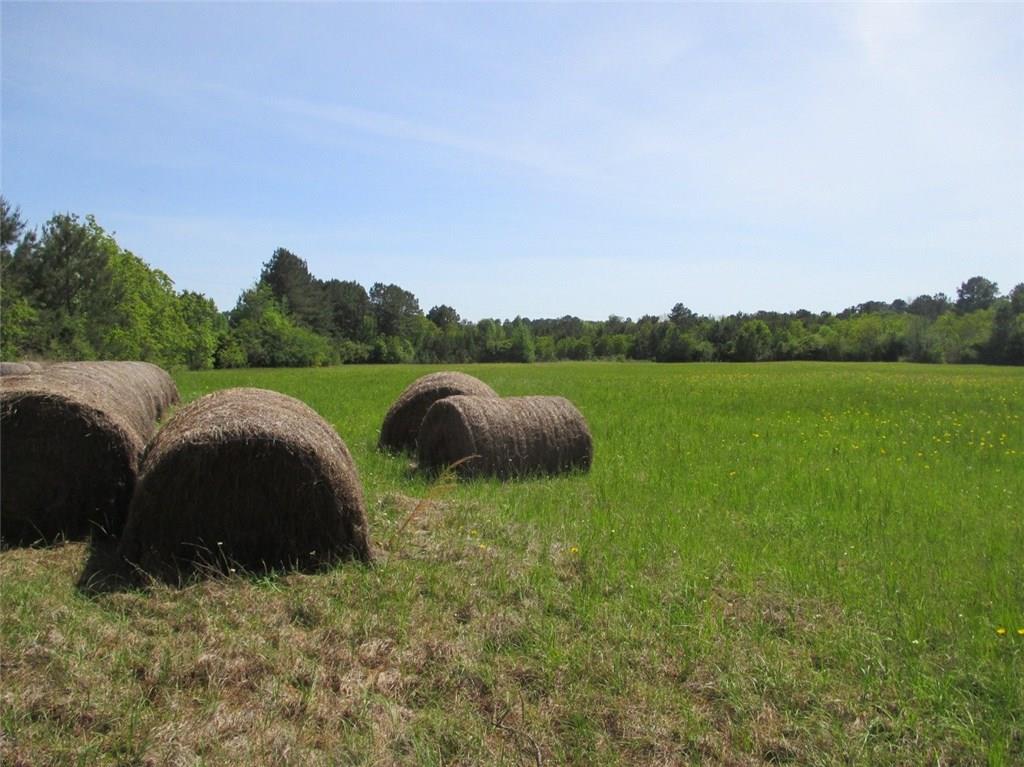 0 Sweat Road Mora, LA 71455 - Photo 2 of 4 Gallery Image 2