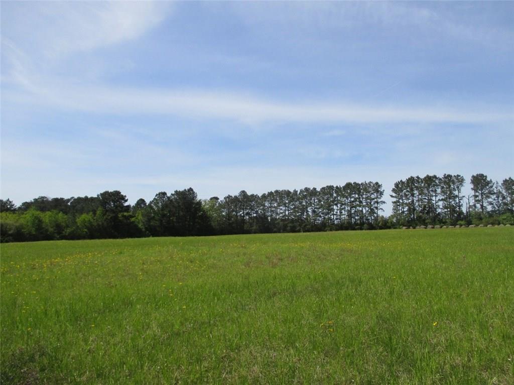 0 Sweat Road Mora, LA 71455 - Photo 4 of 4 Gallery Image 4