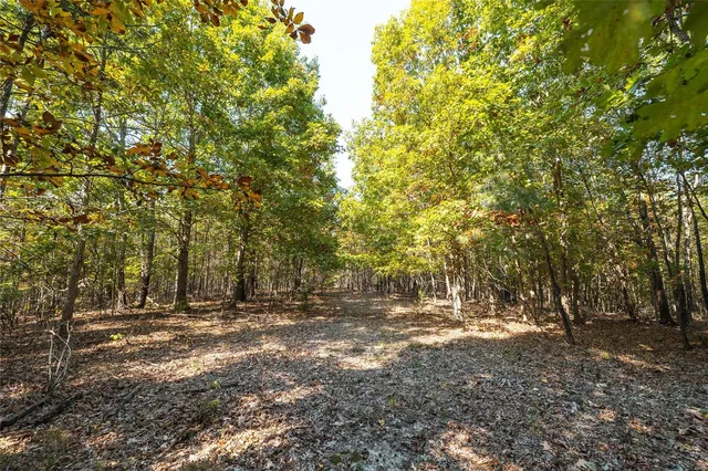 $330,000 | 0 Highway B Raymondville Mo 65555, Raymondville, MO 65555