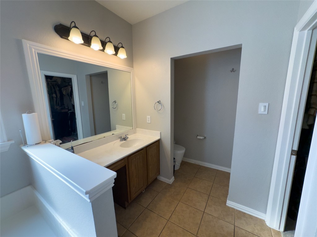 2410 Aspen Meadow Road Leander, TX 78641 - Photo 16 of 24 a bathroom with a sink a toilet and mirror