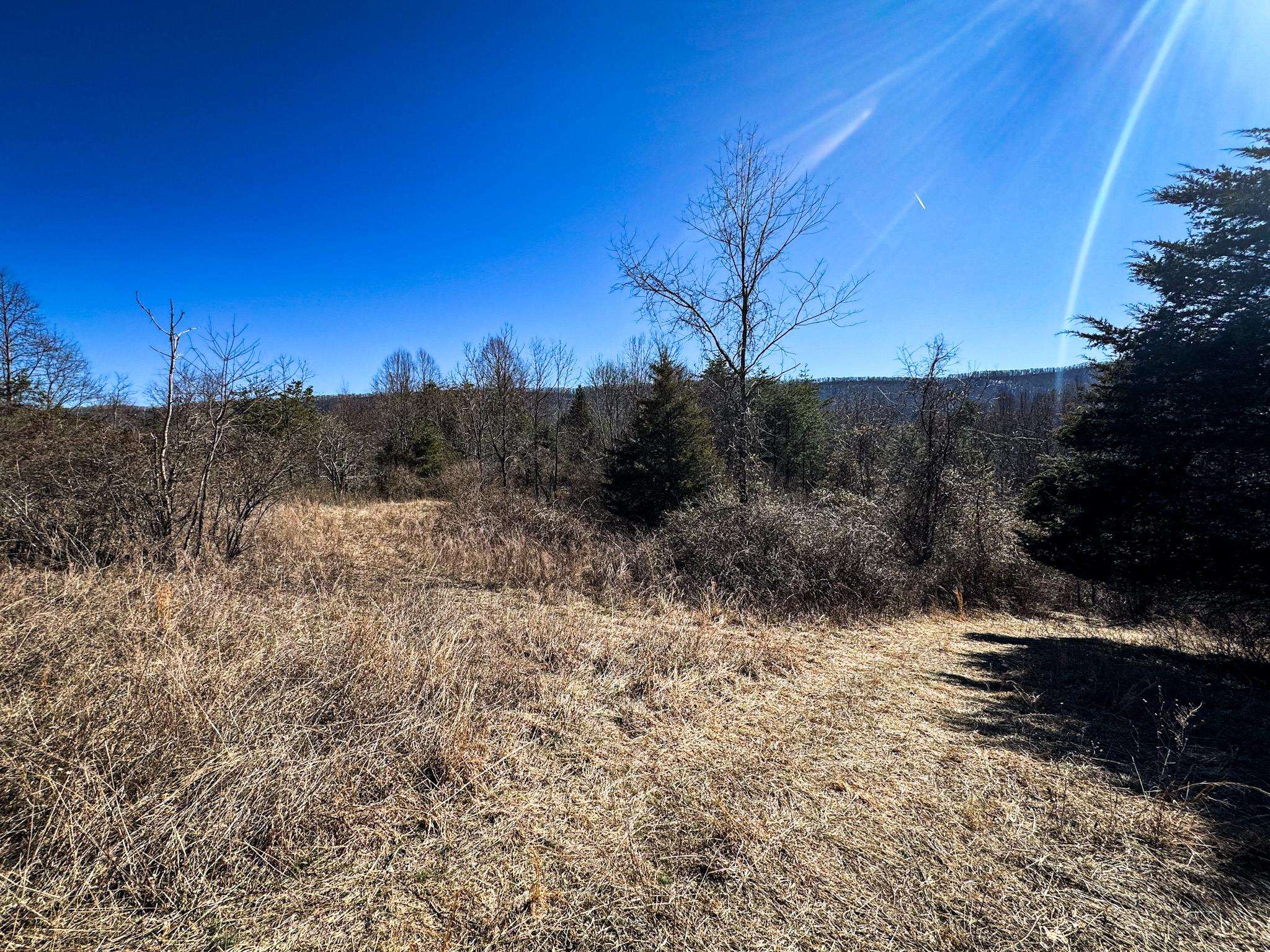Tbd Mountain Field Road Pearisburg, VA 24134 - Photo 8 of 17 Gallery Image 8