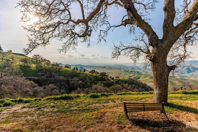 a view of swimming pool with a yard