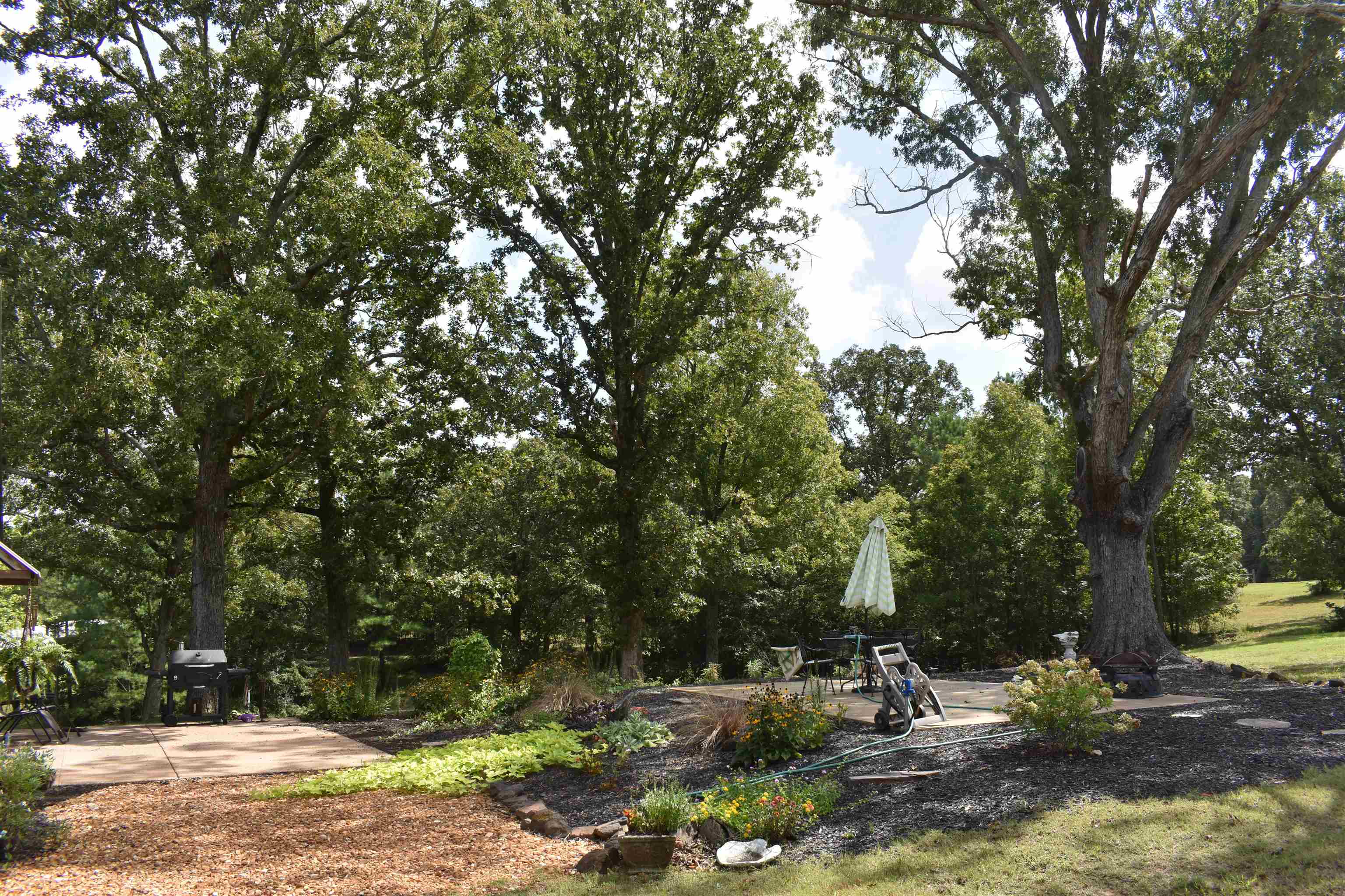 3895 Enville Road Henderson, TN 38340 - Photo 5 of 25 a view of a tree in a yard