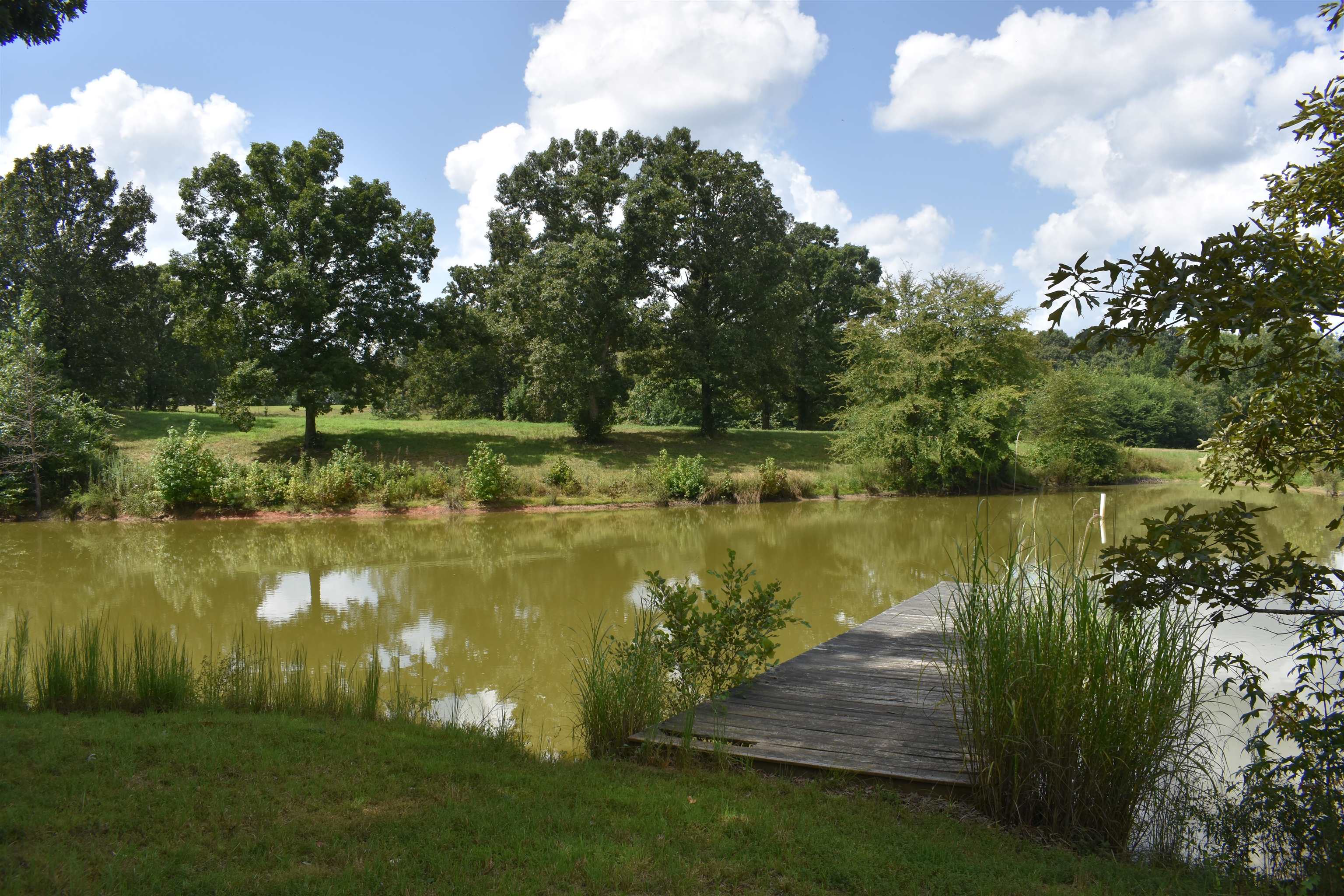 3895 Enville Road Henderson, TN 38340 - Photo 6 of 25 a view of a lake with a yard and large trees